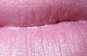 100_0726copy.jpg