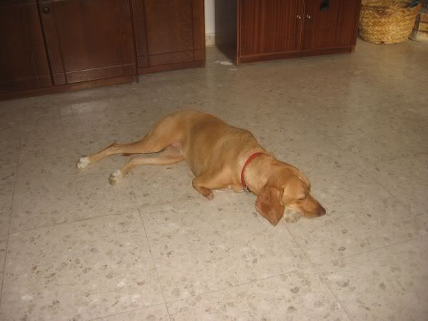 IMG_0020.jpg
