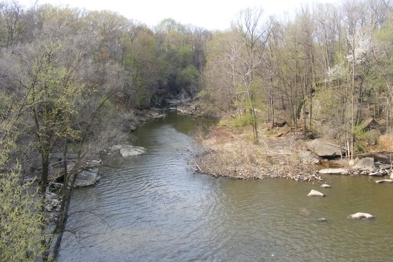 2009_0426NC0391.jpg
