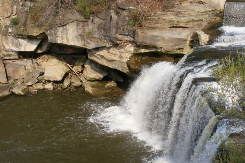 2009_0426NC0395.jpg