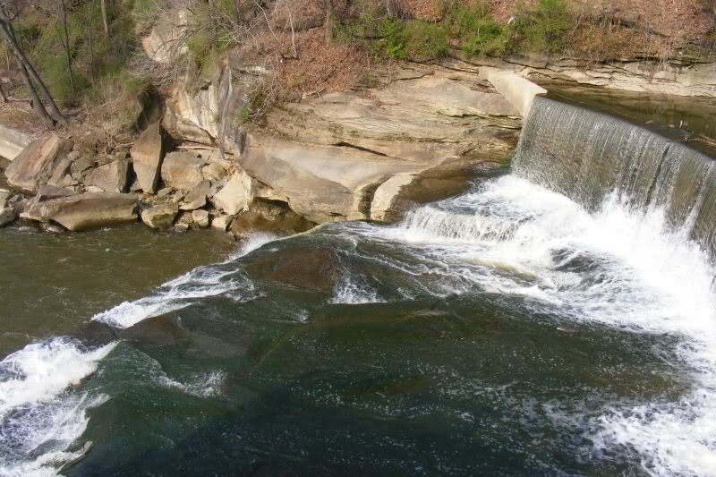 2009_0426NC0399.jpg