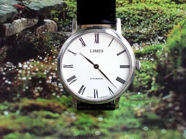 limes122b.jpg
