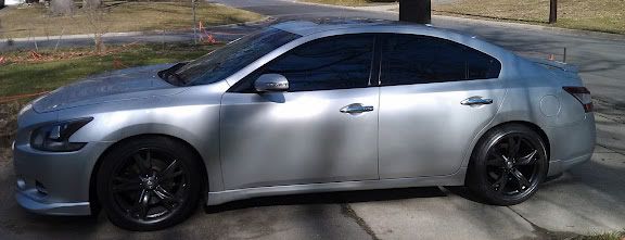 Different Car Tints