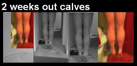 2weeksoutcalvescomp-1.jpg