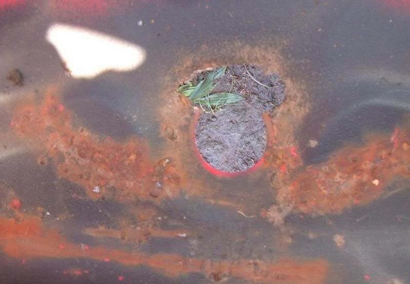 Wheelwellrust.jpg