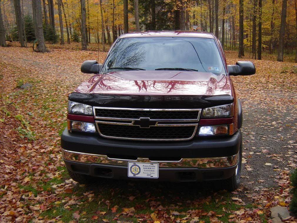 2006 silverado bug deflector