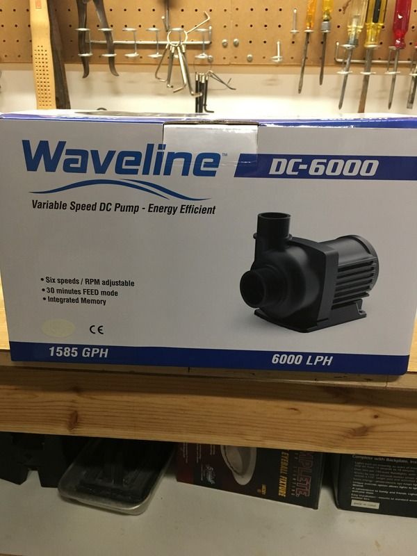 waveline dc6000 pump fs reef central online community
