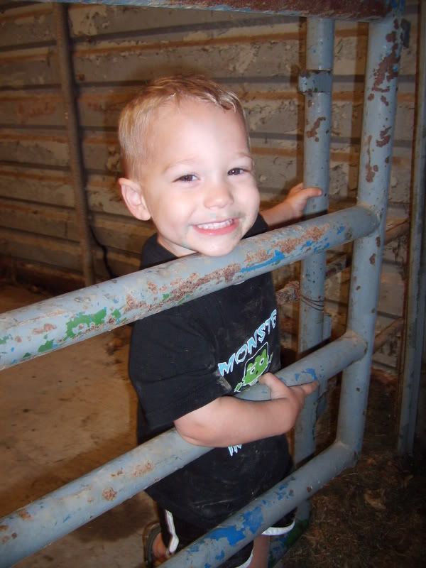 Photo Sharing and Video Hosting at Photobucket