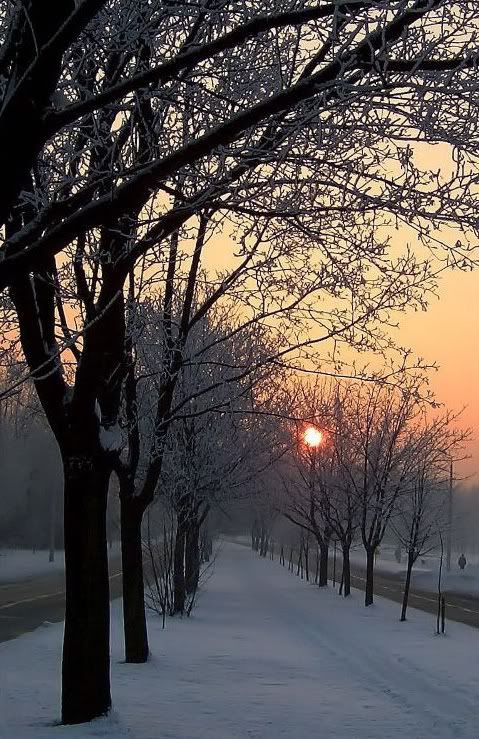 [Obrazek: Winter_promenade_by_monsun-1.jpg]
