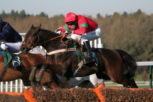 IMAGE: http://i18.photobucket.com/albums/b140/dawnrogers/Towcester%20races/IMG_7897_1_1_1.jpg