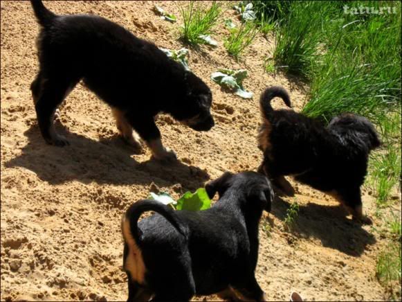 Photo Sharing and Video Hosting at Photobucket Photo Sharing and Video Hosting at Photobucket