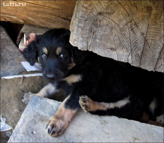 Photo Sharing and Video Hosting at Photobucket Photo Sharing and Video Hosting at Photobucket