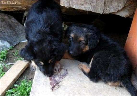 Photo Sharing and Video Hosting at Photobucket Photo Sharing and Video Hosting at Photobucket