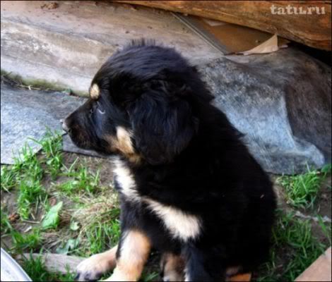 Photo Sharing and Video Hosting at Photobucket Photo Sharing and Video Hosting at Photobucket