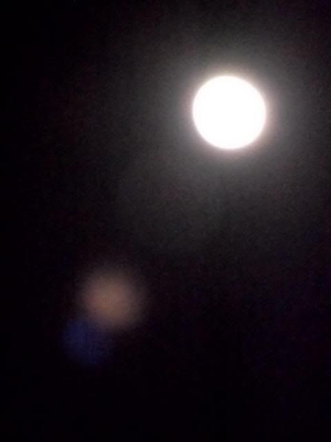 DSCF1140.jpg
