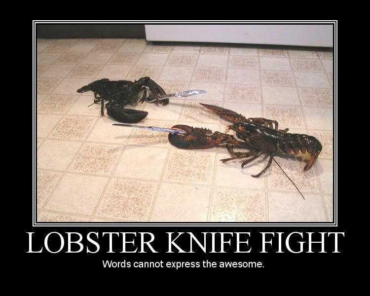 Forum Image: http://i18.photobucket.com/albums/b140/specd357/lobster.jpg