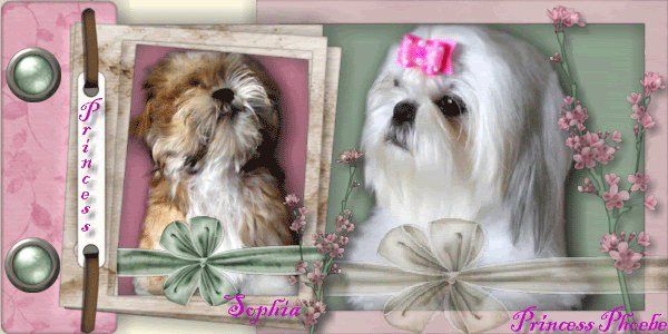 [Image: 22f1e83f.gif]