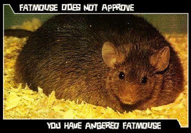 Fatmouse-disapproves-1.png