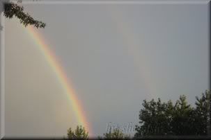 double rainbow