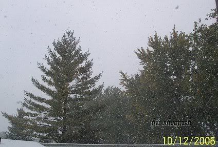 octobersnow4