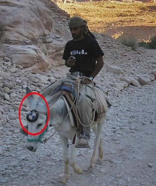 donkeybmw.jpg