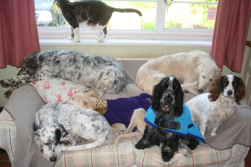 IMAGE: http://i18.photobucket.com/albums/b141/penel/IMG_0530.jpg