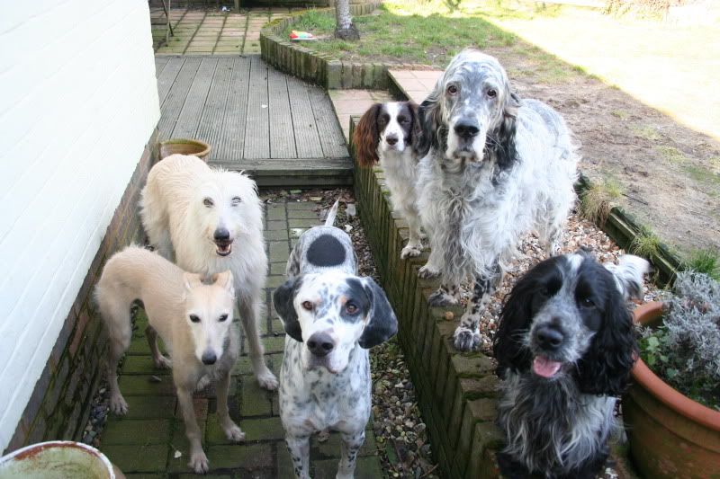 IMAGE: http://i18.photobucket.com/albums/b141/penel/IMG_1179.jpg