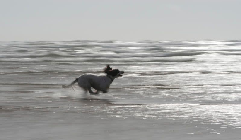 IMAGE: http://i18.photobucket.com/albums/b141/penel/_MG_9980a.jpg