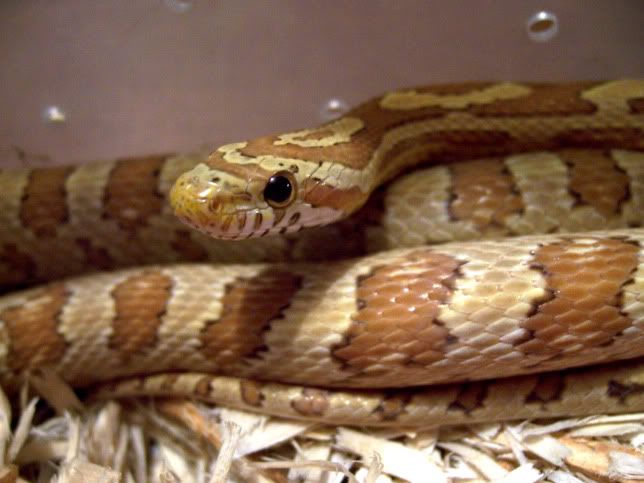 100_0874_edited-1.jpg