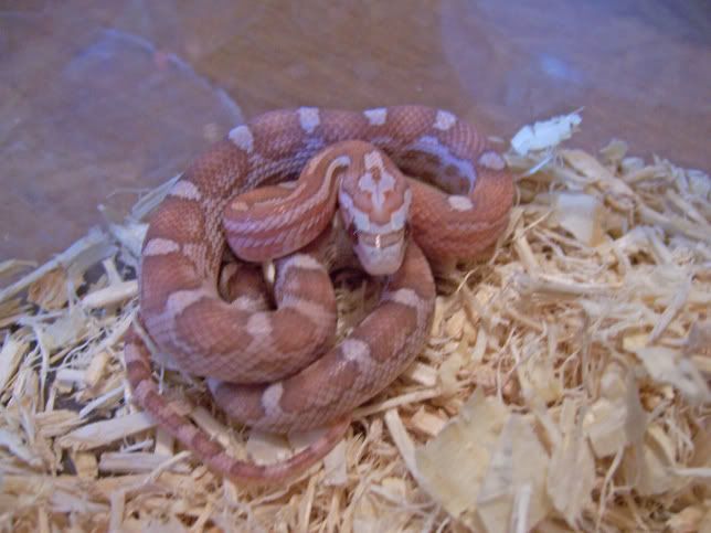 8-11-06009.jpg
