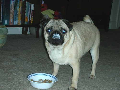 I have a little spot growing on my eye lid