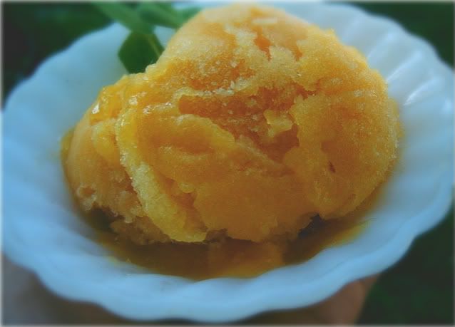 mango sorbet