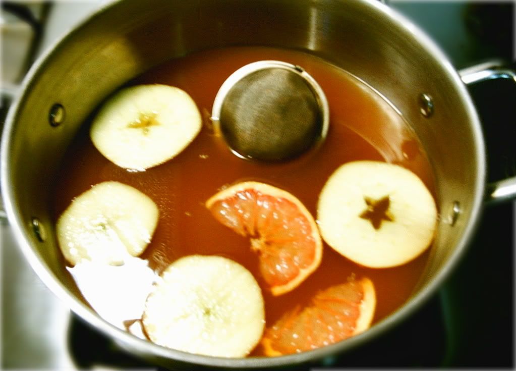 Hot Mulled Apple Cider-Happy Thanksgiving! copyright mam for gavethat all rights reserved. 2009