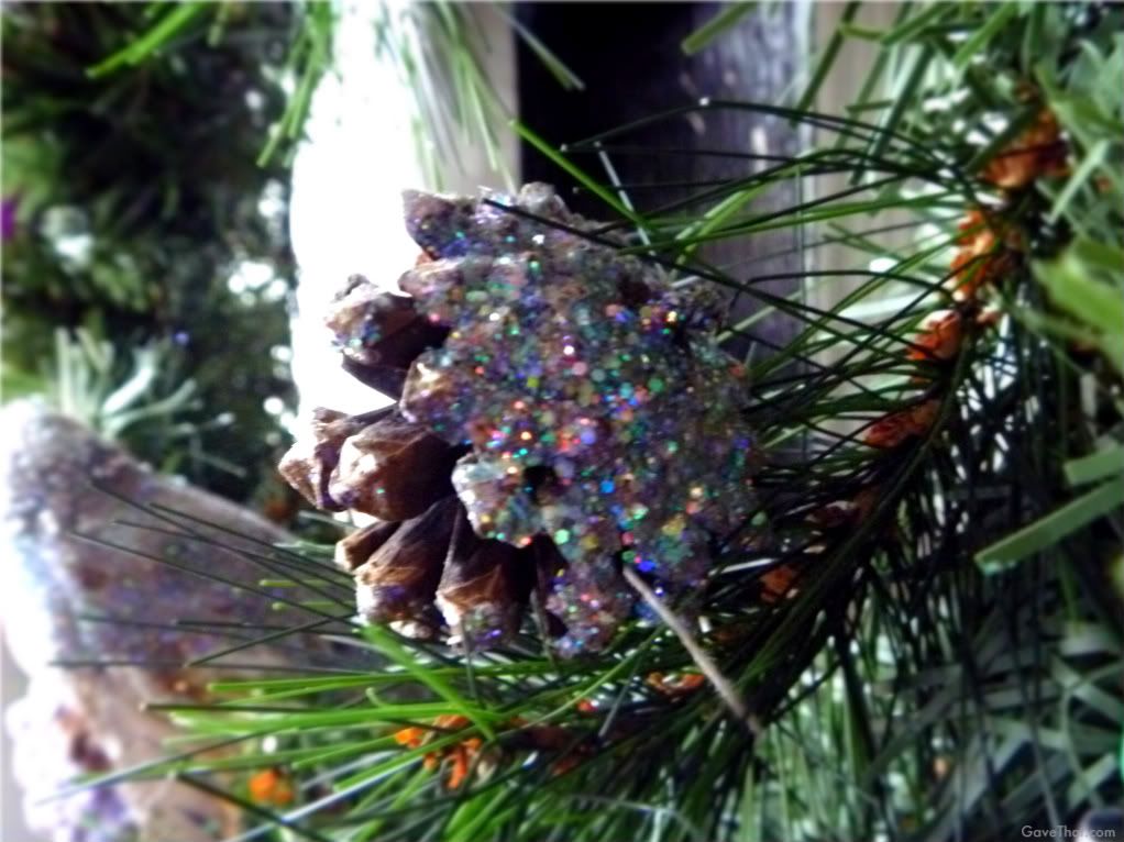 mam for gave that glittery pine cone ornament hanging
