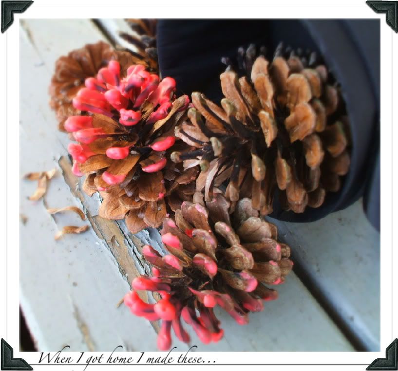 mam for gavethat wax covered pine cone fire starter diy gift