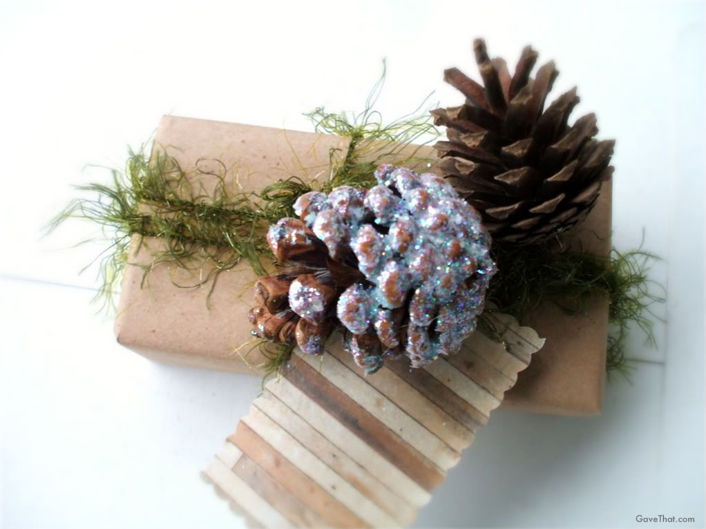 mam for gift wrap blog gave that glitter covered pine cones on present