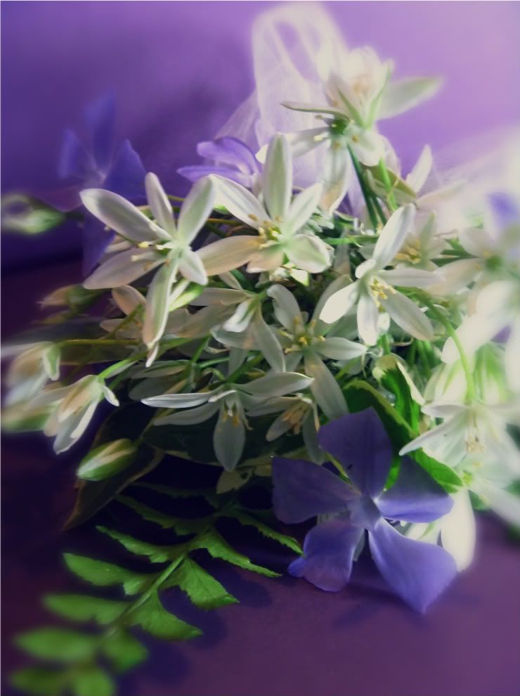 Nosegay of star of bethlehem periwinkle ferns flower bouquet