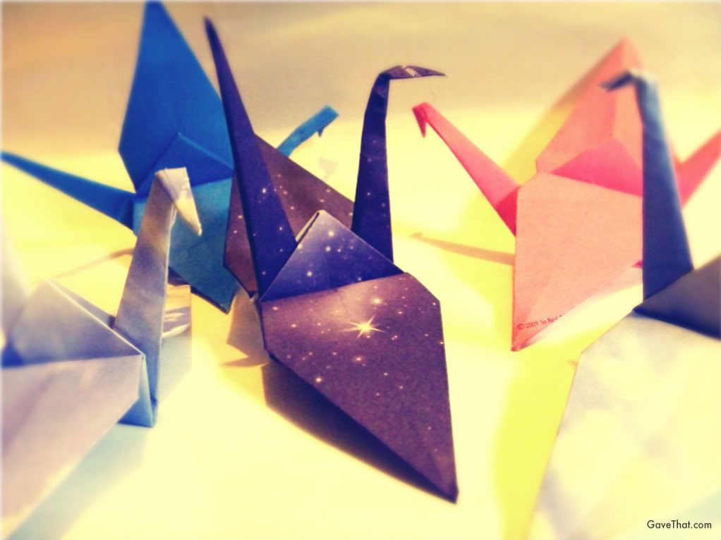 mam for gave that origami paper cranes for Japan