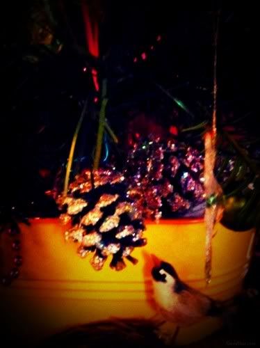 mam for gave that glitter pine cone ornaments hanging from Christmas tree