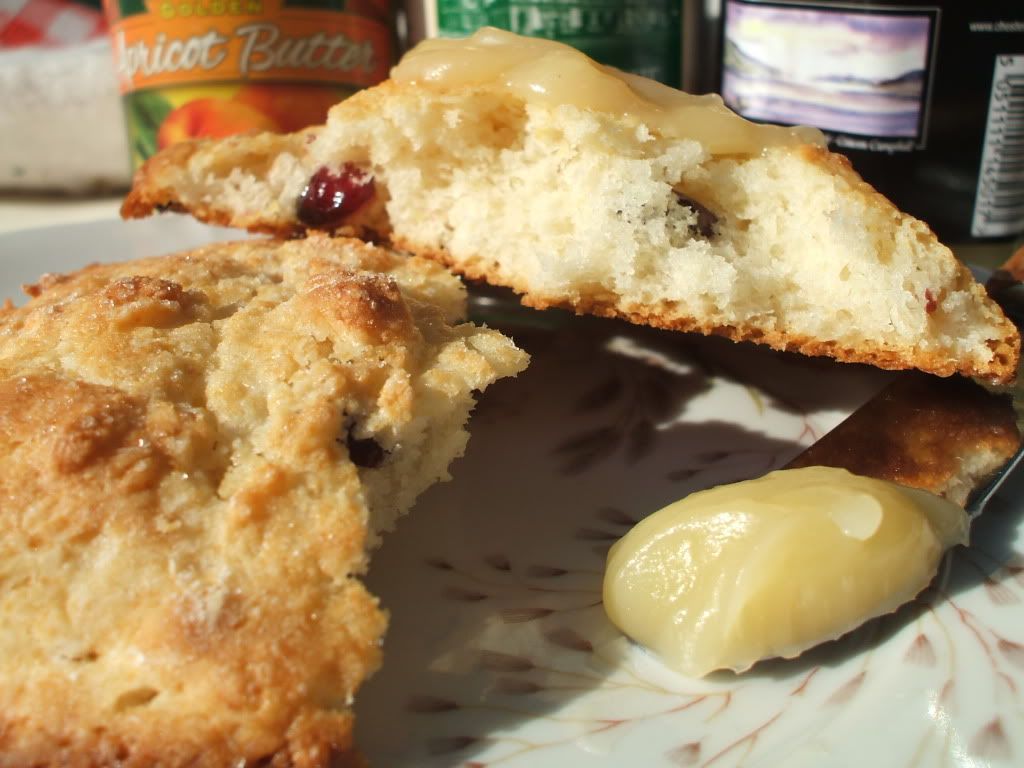 mam gavethat cranberry scones lemon curd