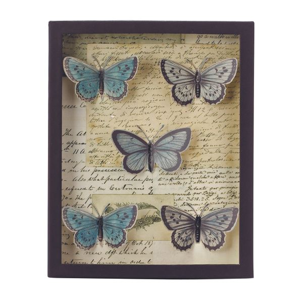 John Derian Shadow Box