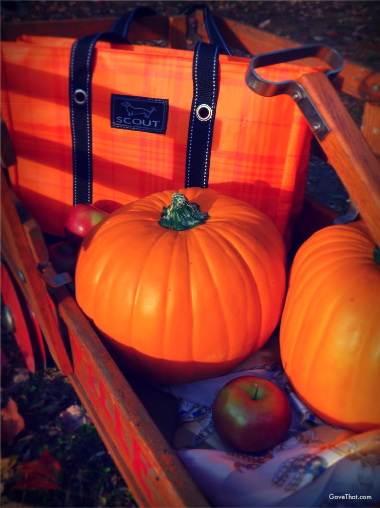 The Mad Plaider by Scout by Bungalow tote bag during New England Autumn apple pumpkin picking in vintage wagon