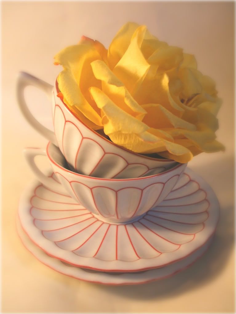 picture mam gavethat yellow rose in tea cups
