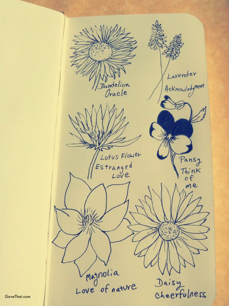 mam for gave that drawing pictures of flowers in my journal