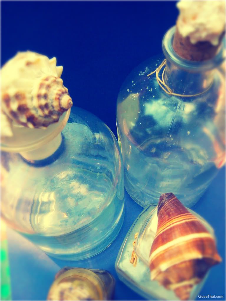 Glass bottles decorated with beachy sea shells DIY