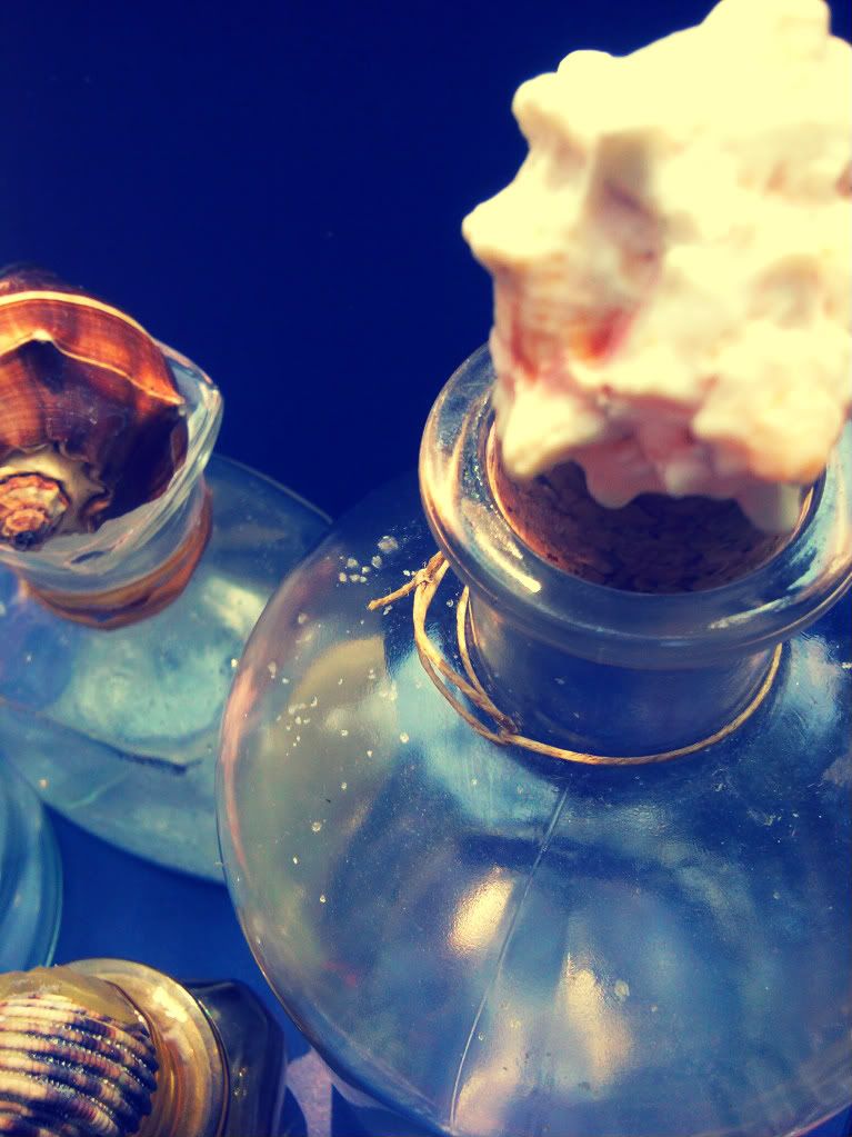 Sea shell topped glass bottles DIY