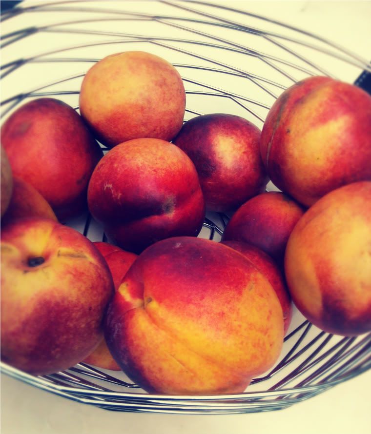 Nectarines in Torre Tagus fruit basket