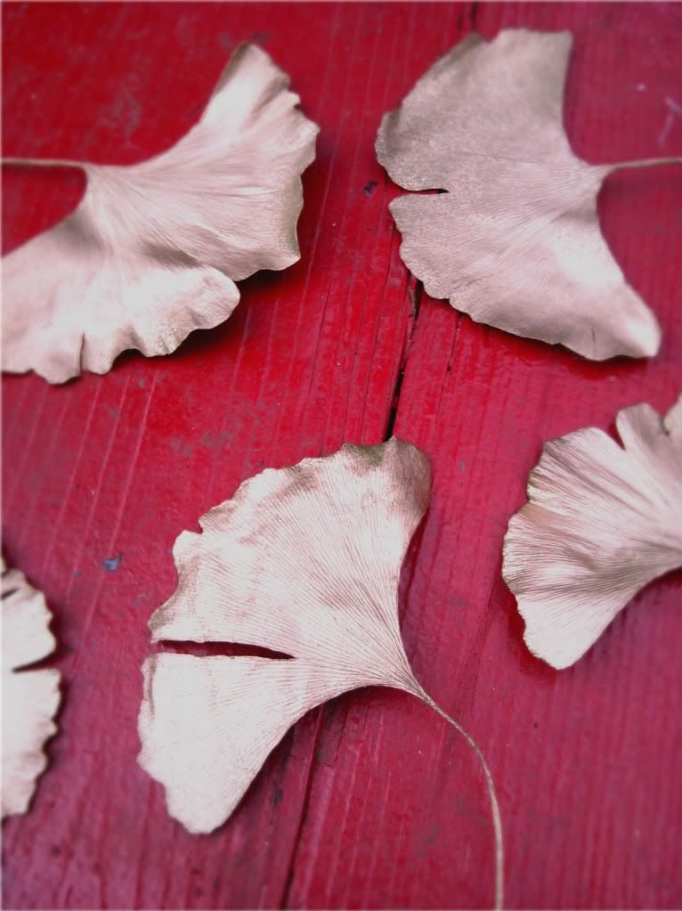 Gold painted Ginkgo leaves