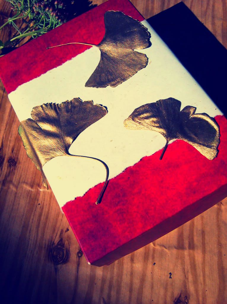 Gold painted Ginkgo leaves on red gift box