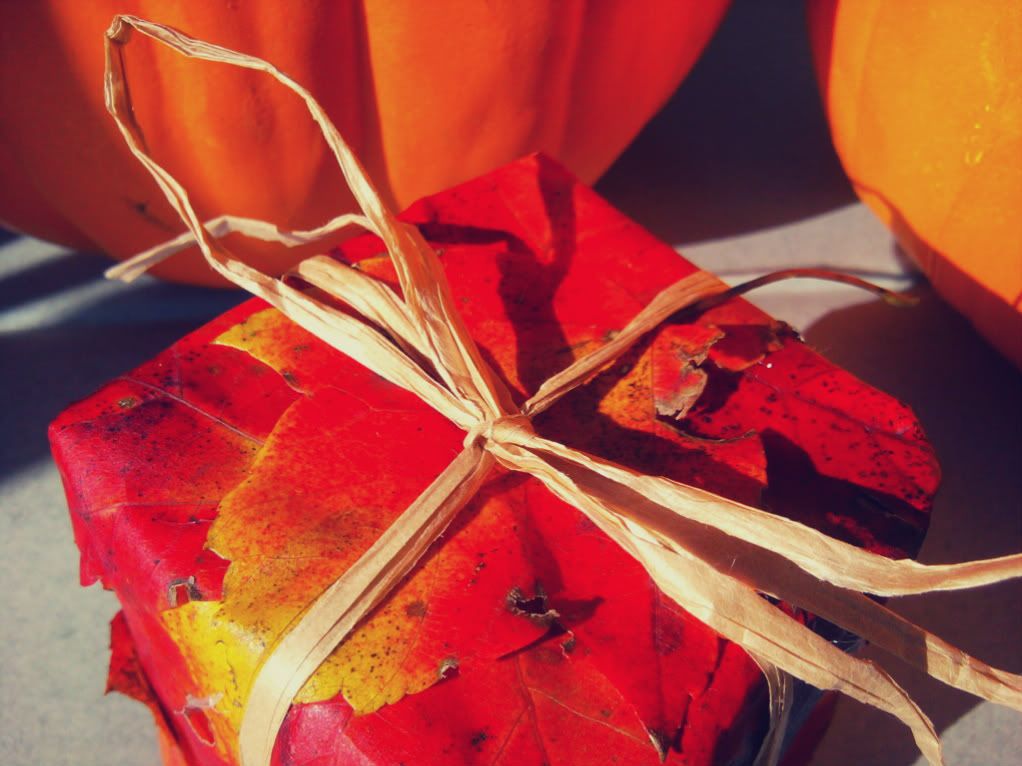 Red maple leaf wrapped gift